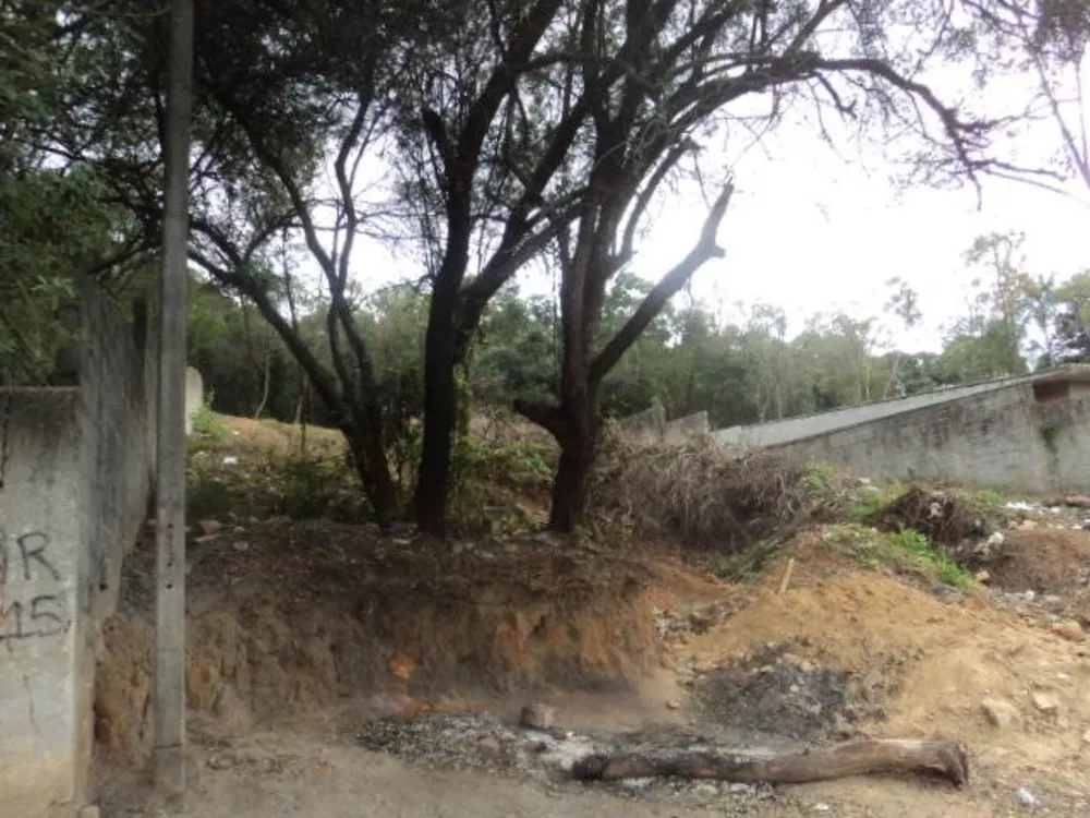 Terreno, 1244 m² - Foto 5