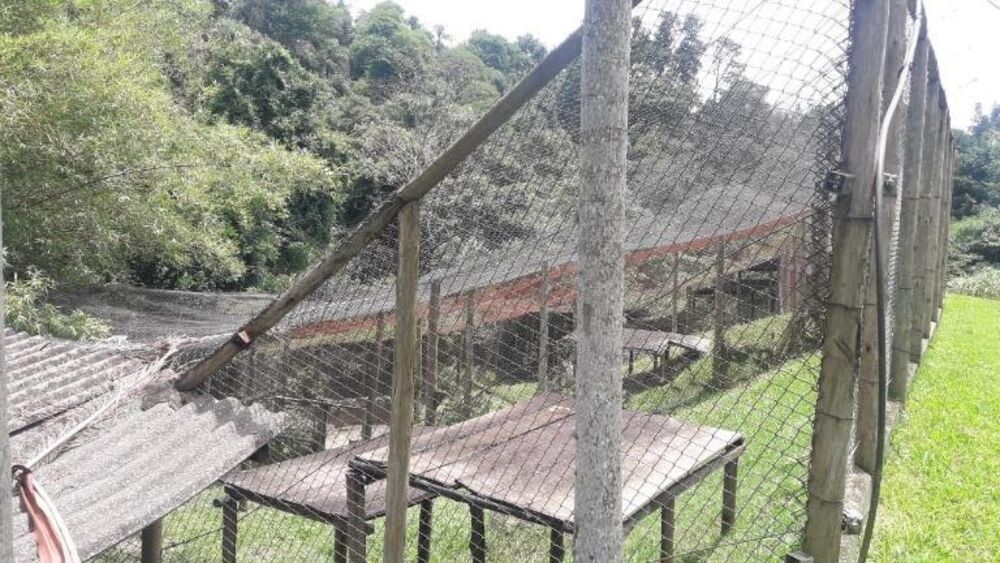 Terreno, 3 hectares - Foto 17