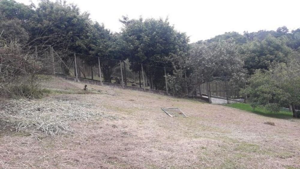 Terreno, 3 hectares - Foto 1