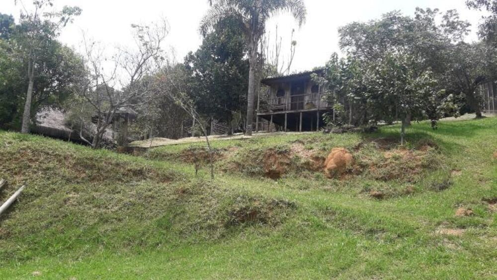 Terreno, 3 hectares - Foto 6
