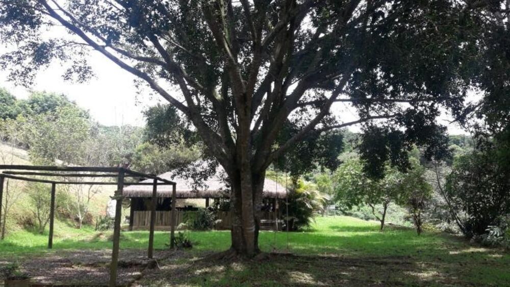 Terreno, 3 hectares - Foto 2