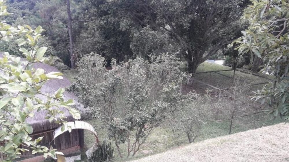 Terreno, 3 hectares - Foto 3