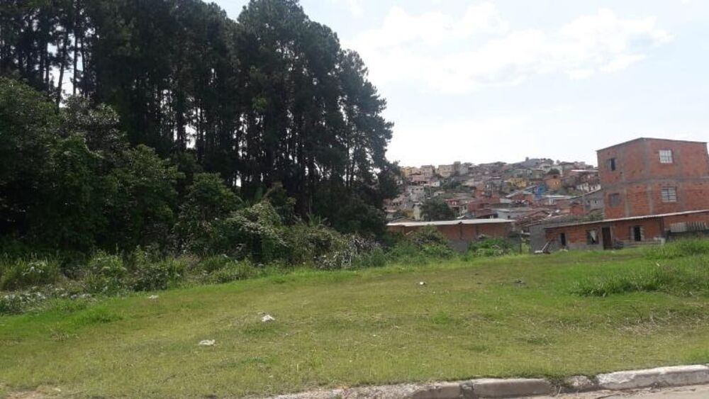 Terreno, 3 hectares - Foto 10