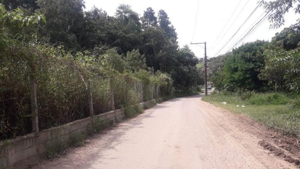 Terreno, 3 hectares - Foto 13