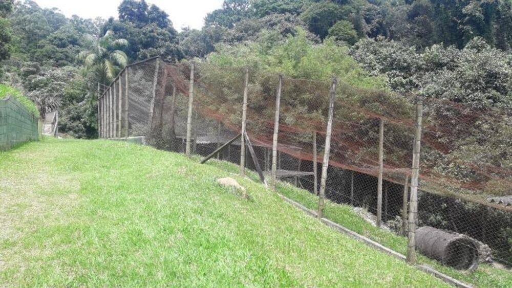 Terreno, 3 hectares - Foto 15