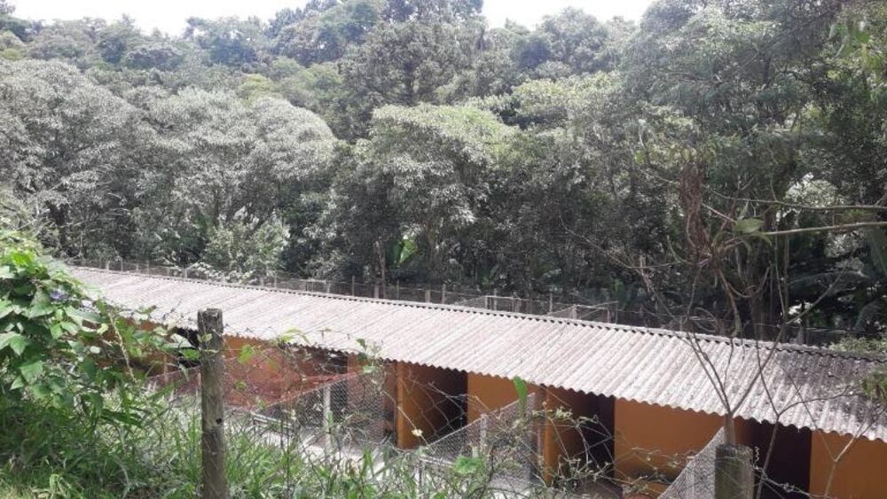 Terreno, 3 hectares - Foto 20