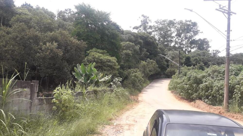 Terreno, 3 hectares - Foto 11