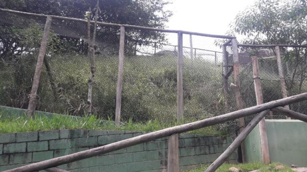 Terreno, 3 hectares - Foto 4