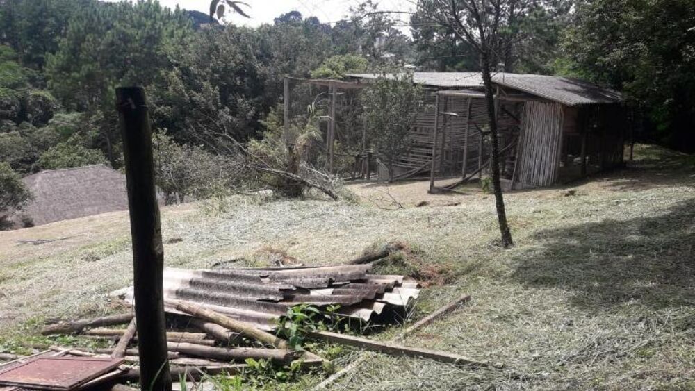Terreno, 3 hectares - Foto 19