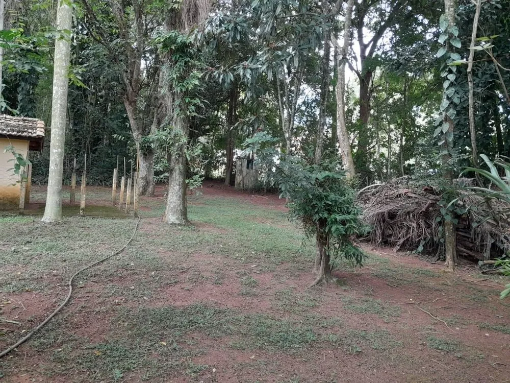 Chácara, 3 quartos, 3600 m² - Foto 10