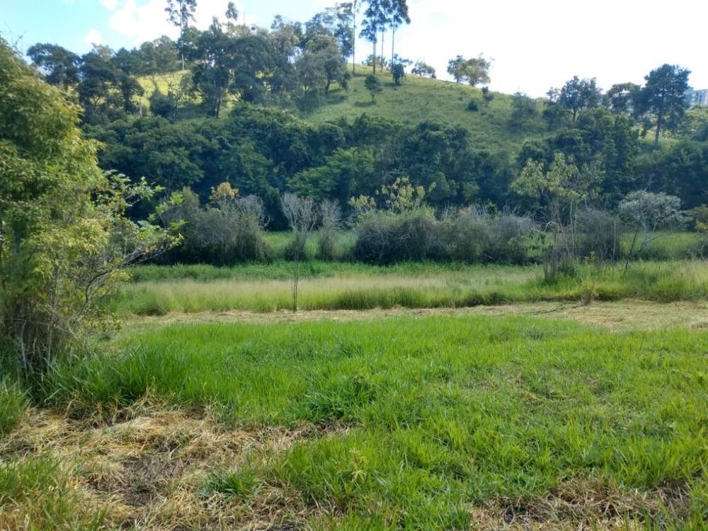 Terreno, 7960 m² - Foto 12