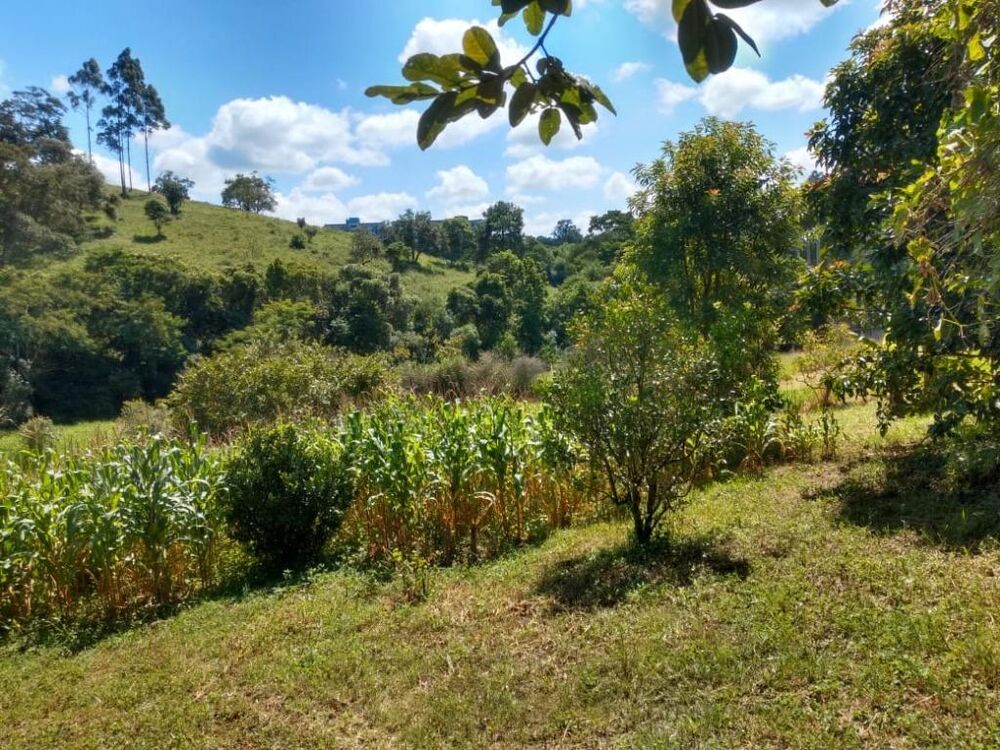 Terreno, 7960 m² - Foto 14