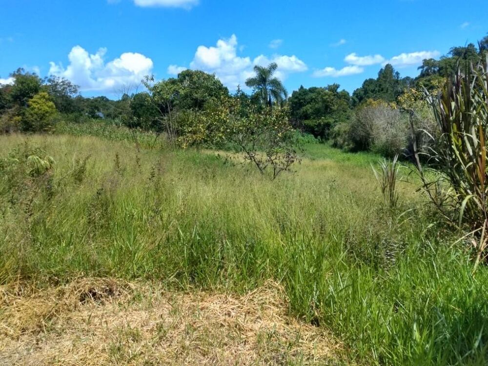 Terreno, 7960 m² - Foto 7