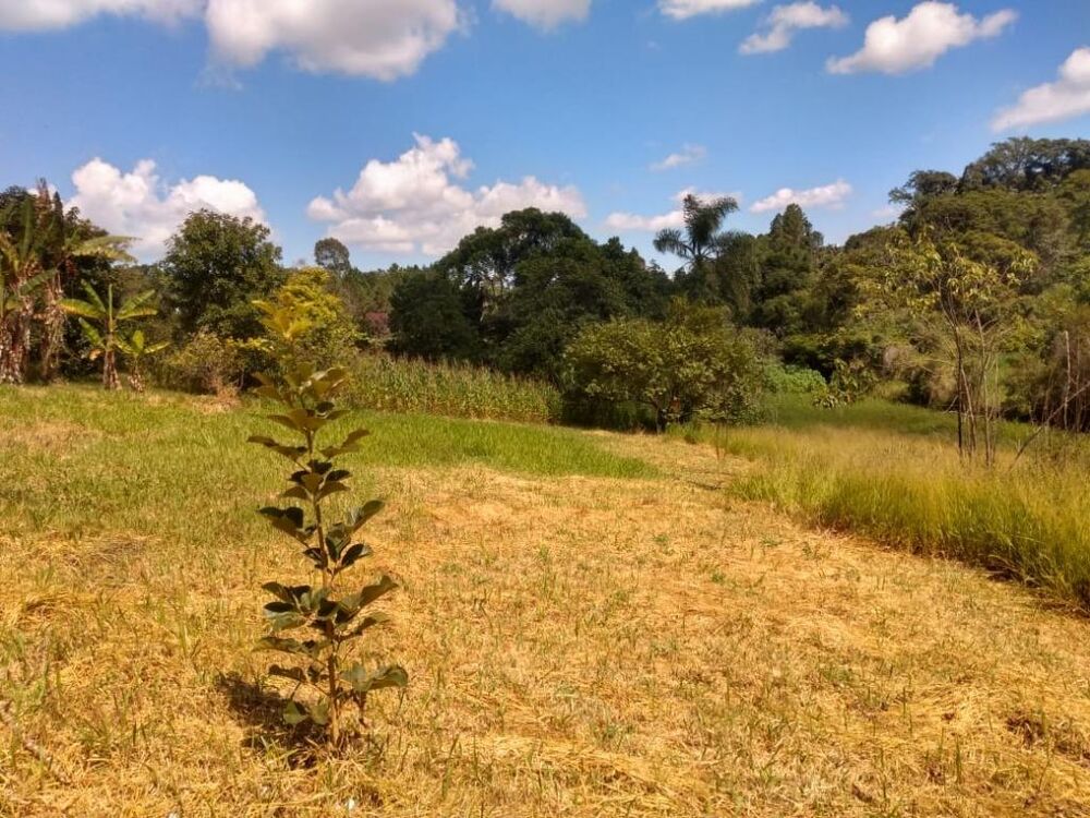 Terreno, 7960 m² - Foto 15