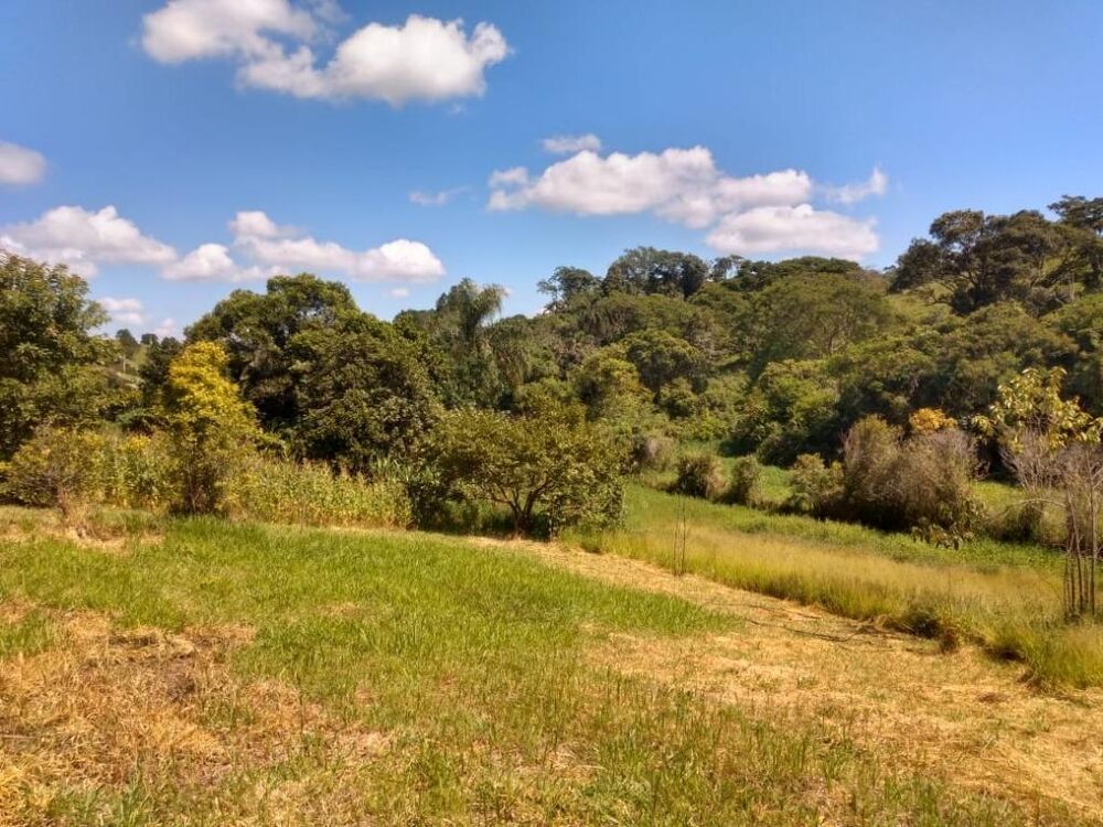 Terreno, 7960 m² - Foto 3