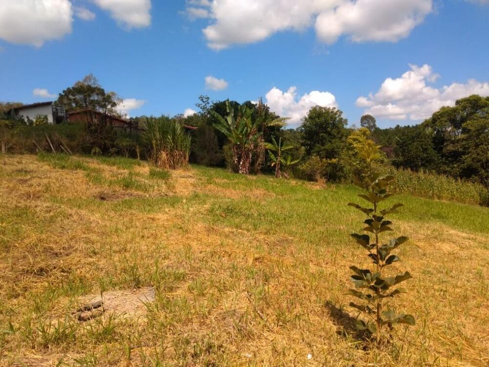 Terreno, 7960 m² - Foto 17