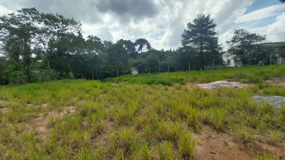Terreno, 3394 m² - Foto 9