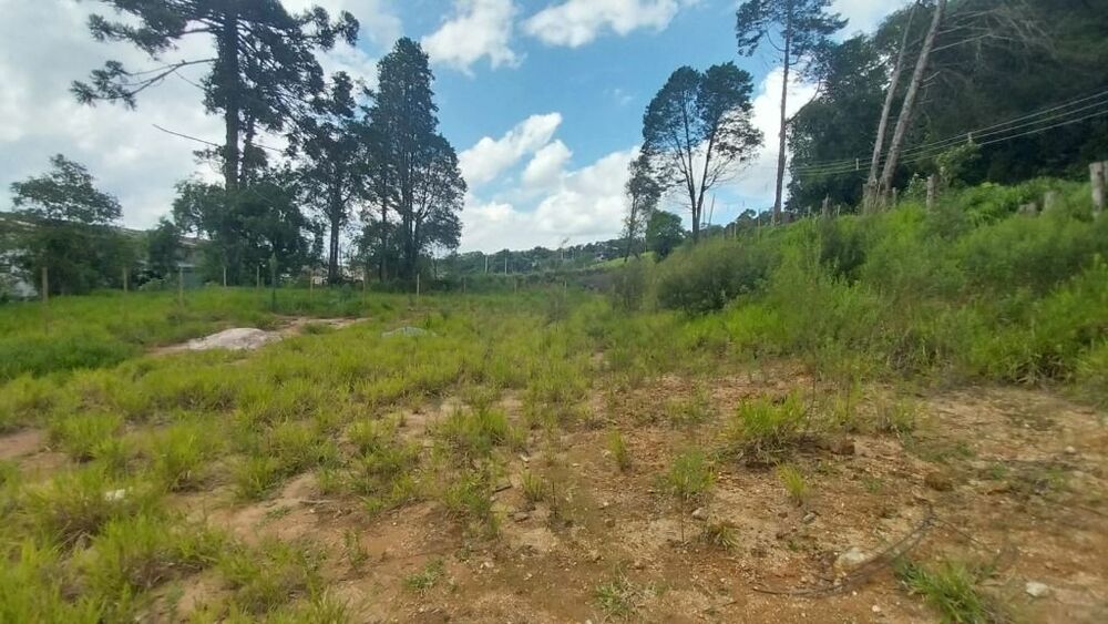 Terreno, 3394 m² - Foto 18