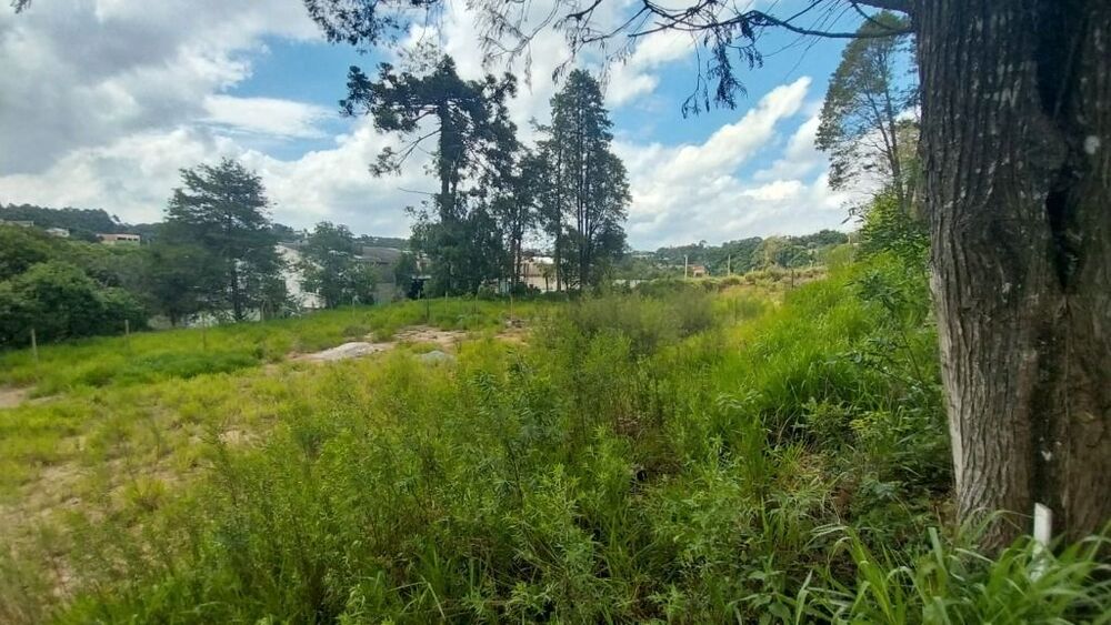 Terreno, 3394 m² - Foto 2