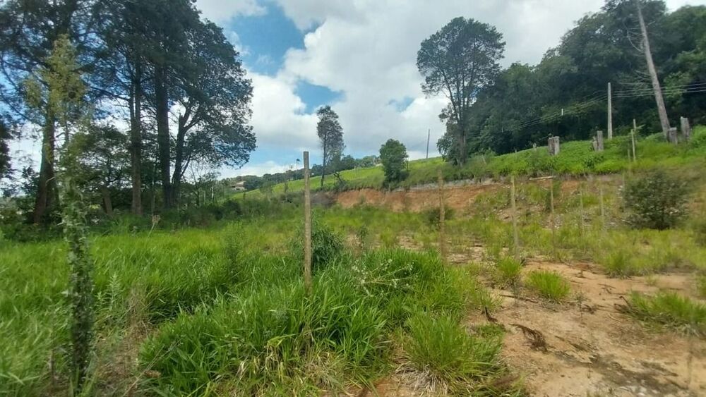 Terreno, 3394 m² - Foto 14