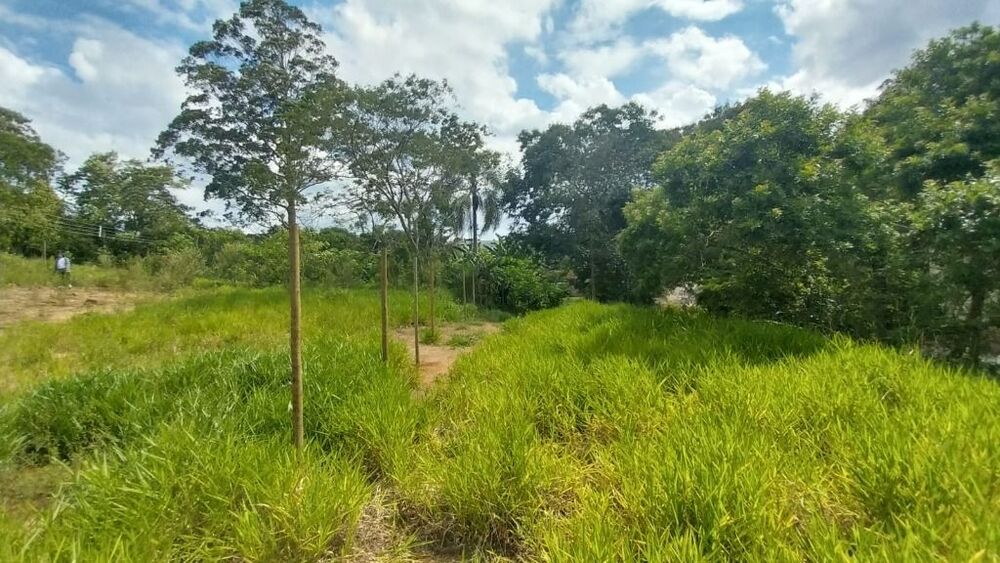 Terreno, 3394 m² - Foto 3