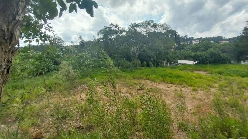 Terreno, 3394 m² - Foto 6
