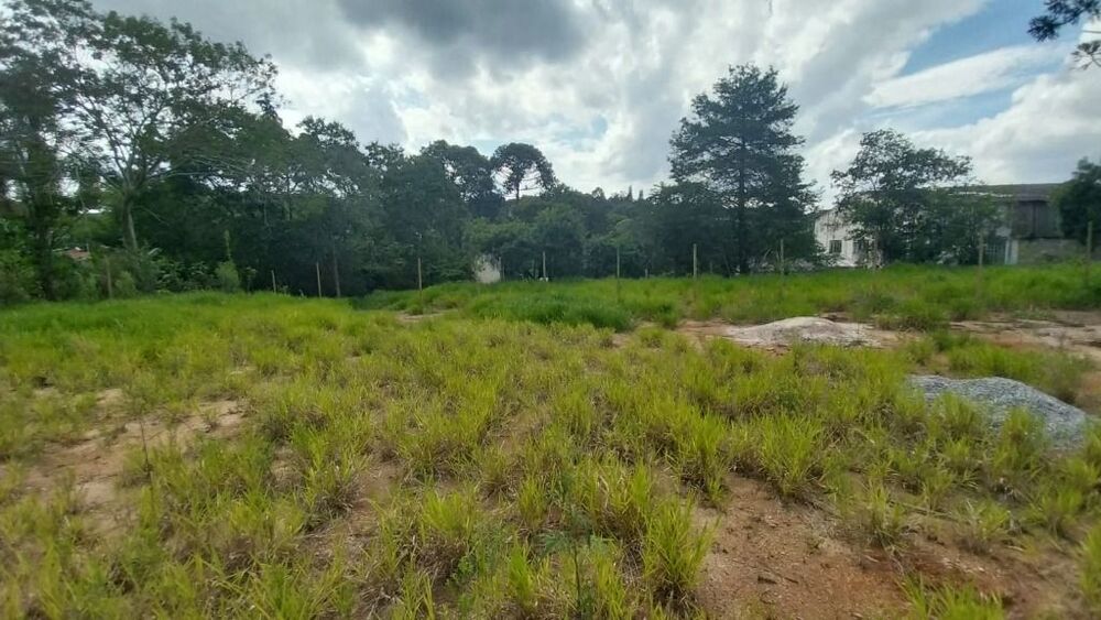 Terreno, 3394 m² - Foto 7