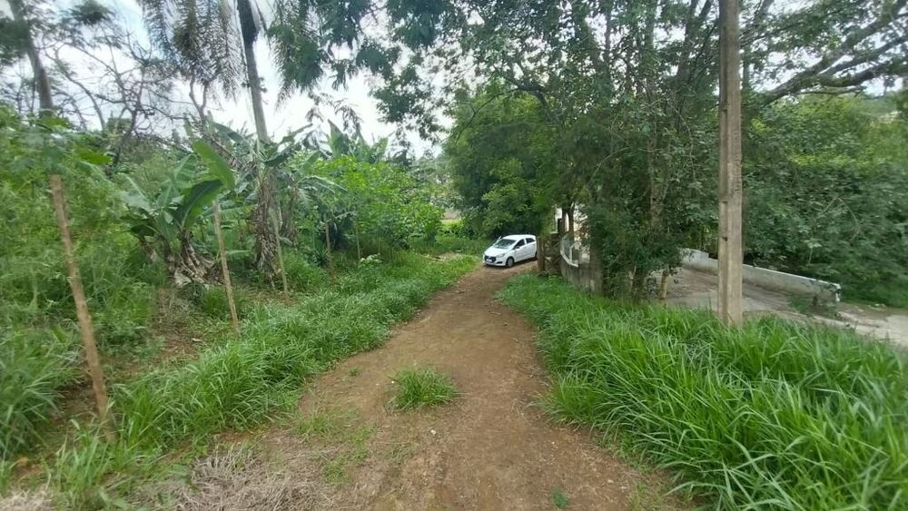 Terreno, 3394 m² - Foto 8