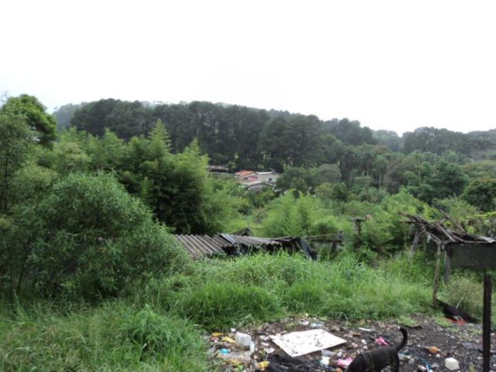 Terreno, 8898 m² - Foto 6