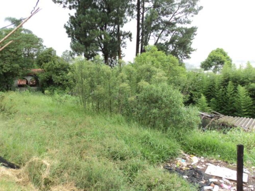 Terreno, 8898 m² - Foto 3