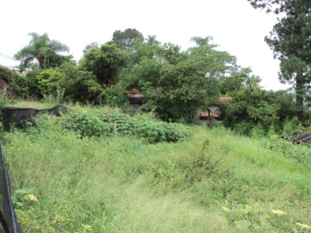 Terreno, 8898 m² - Foto 4