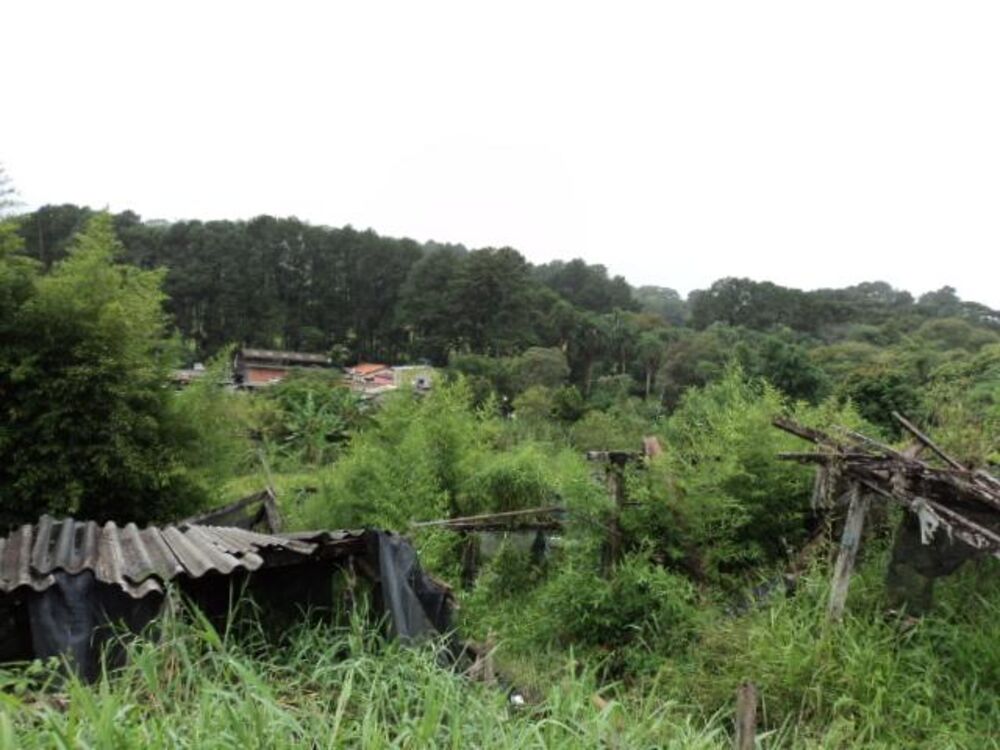 Terreno, 8898 m² - Foto 21