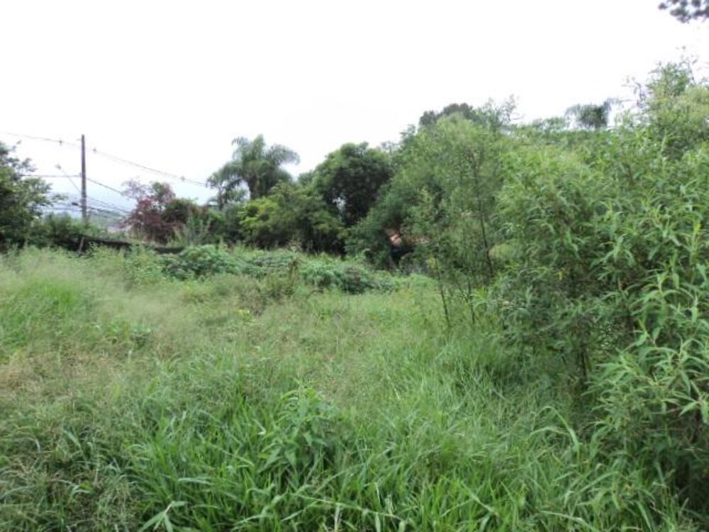 Terreno, 8898 m² - Foto 20