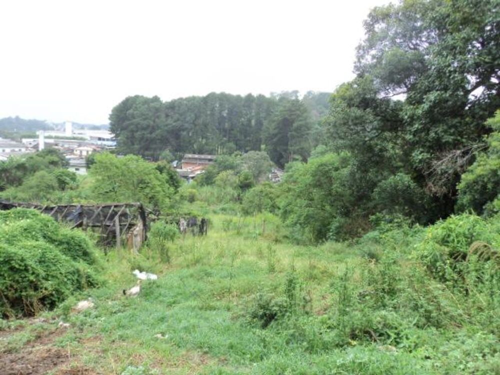 Terreno, 8898 m² - Foto 15