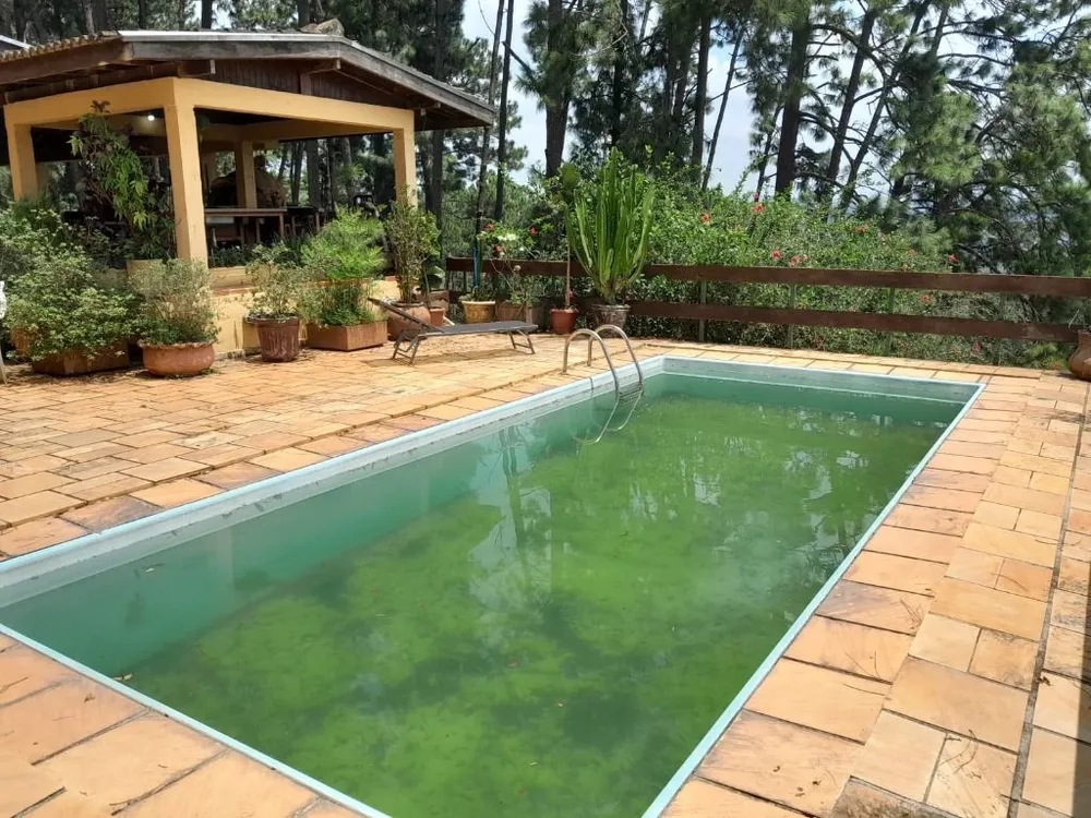 Chácara, 4 quartos, 4785 m² - Foto 5
