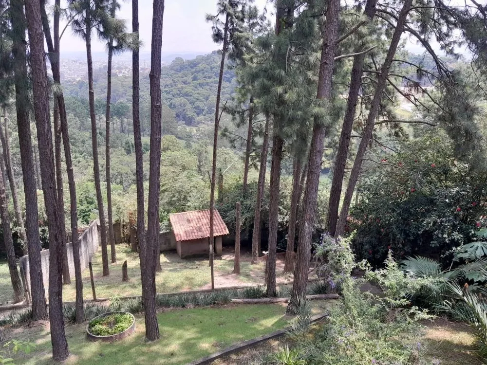 Chácara, 4 quartos, 4785 m² - Foto 9