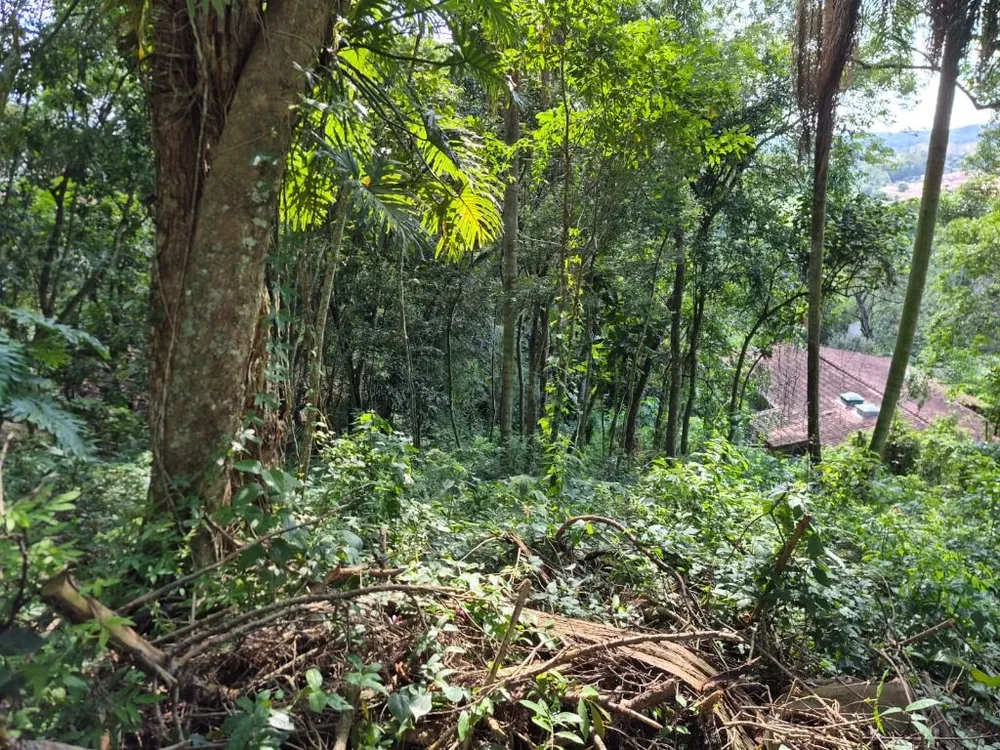 Loteamento e Condomínio, 2053 m² - Foto 6