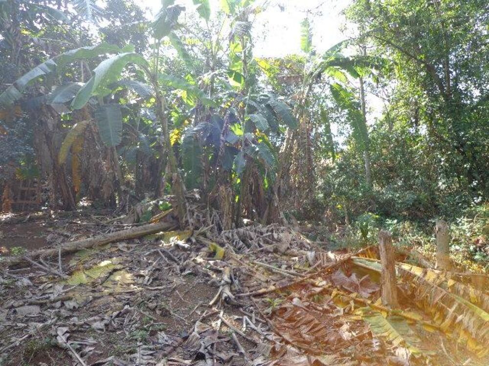 Terreno, 1250 m² - Foto 15