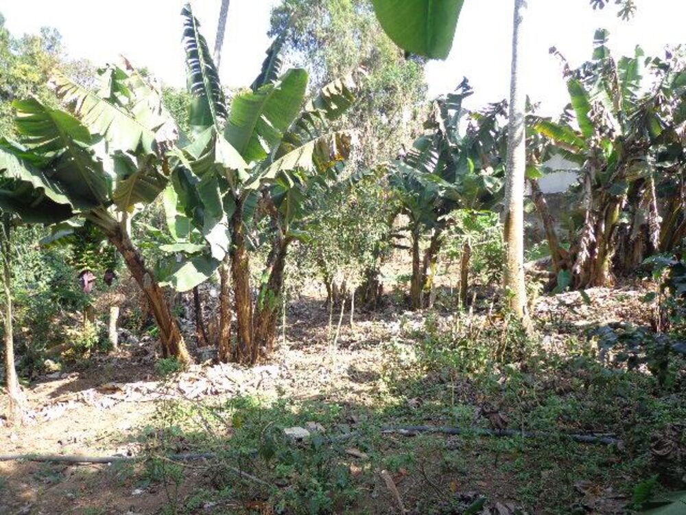 Terreno, 1250 m² - Foto 13