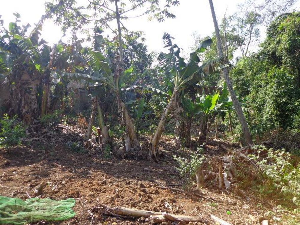 Terreno, 1250 m² - Foto 8