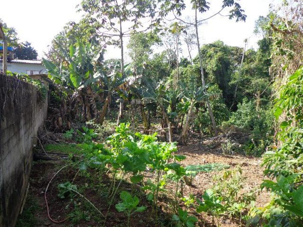 Terreno, 1250 m² - Foto 6