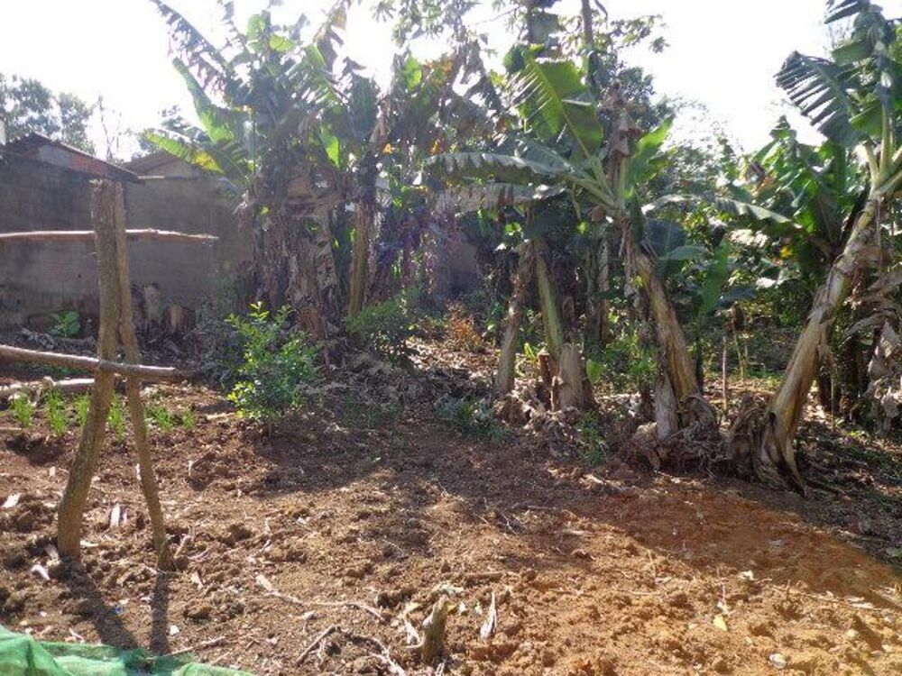 Terreno, 1250 m² - Foto 7