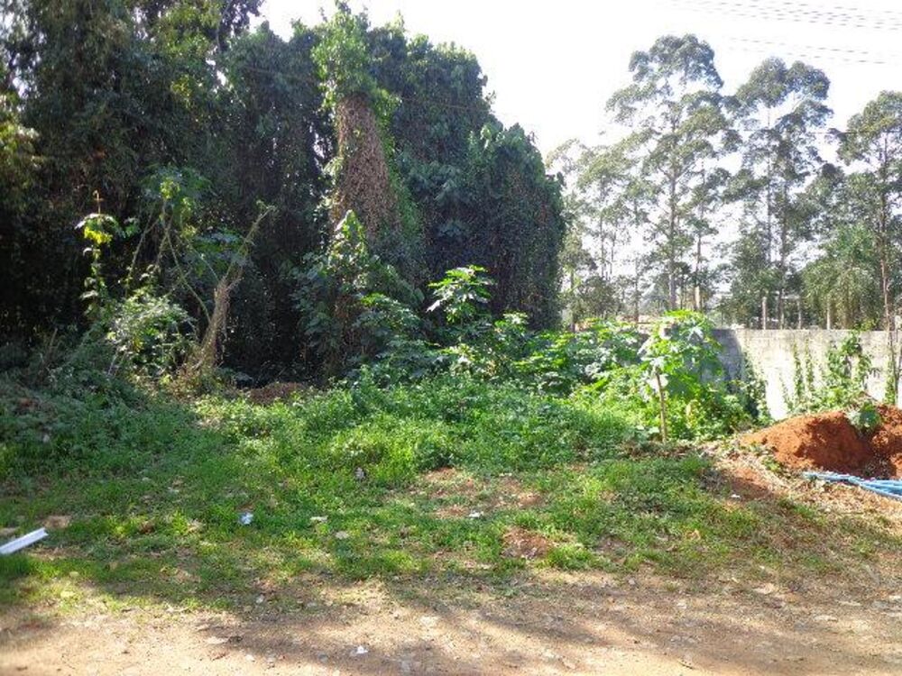Terreno, 1250 m² - Foto 16