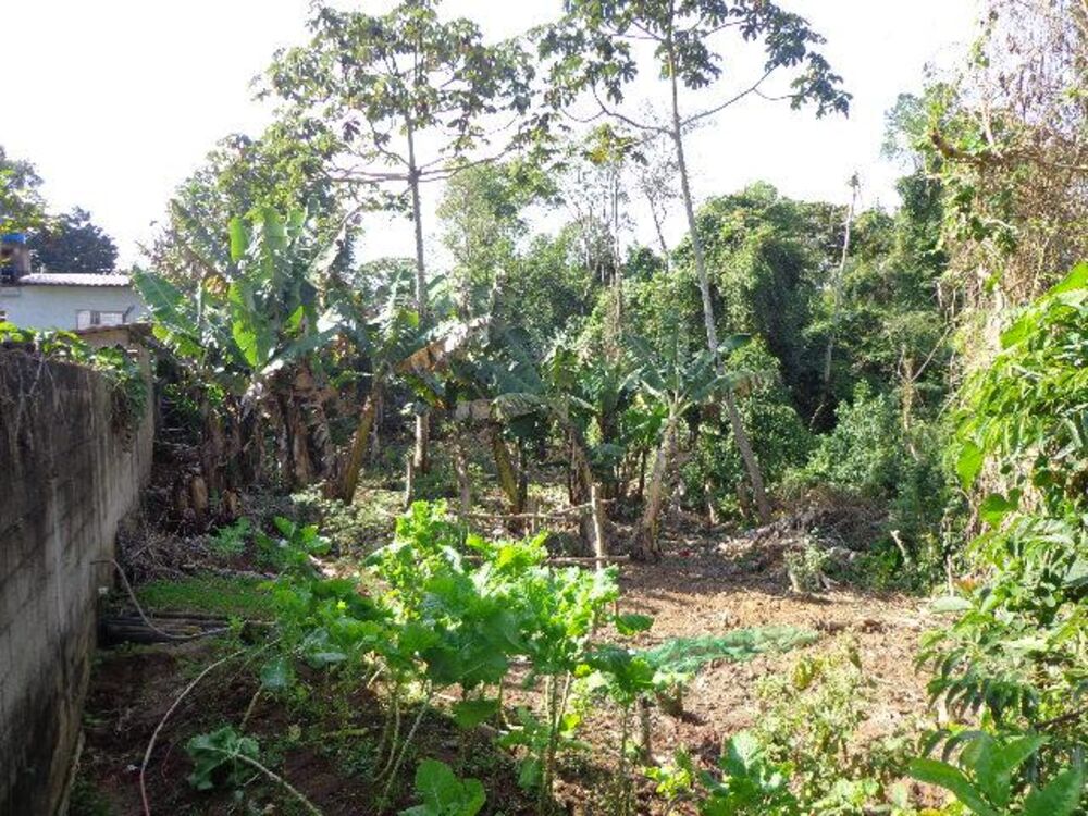 Terreno, 1250 m² - Foto 19