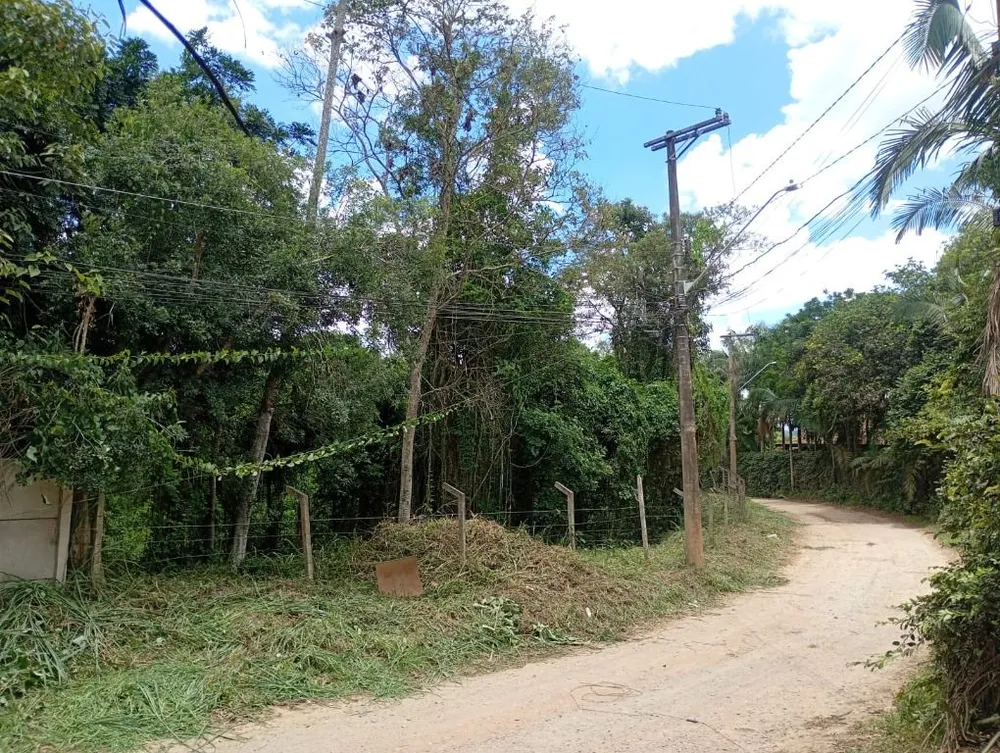 Terreno, 8000 m² - Foto 2