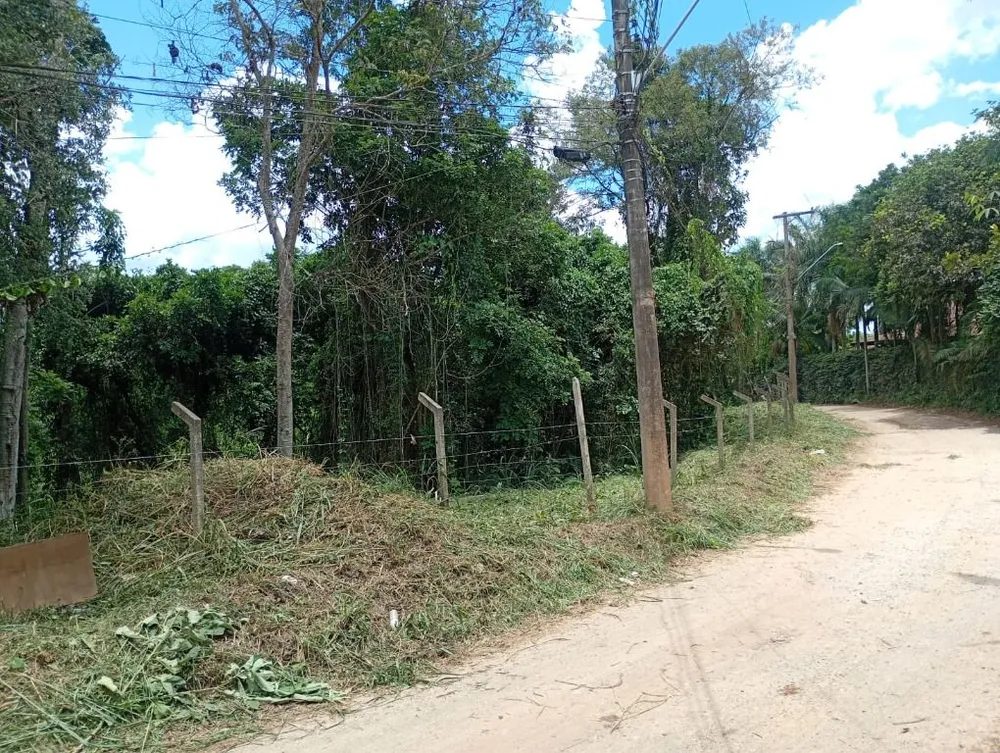 Terreno, 8000 m² - Foto 6