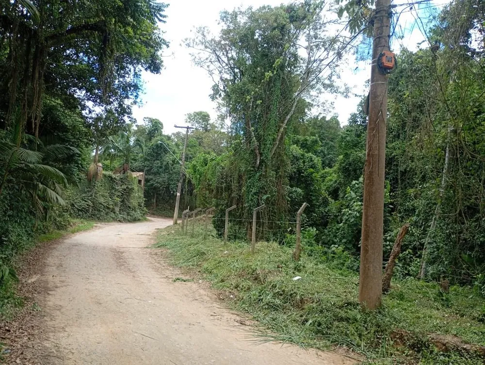 Terreno, 8000 m² - Foto 3