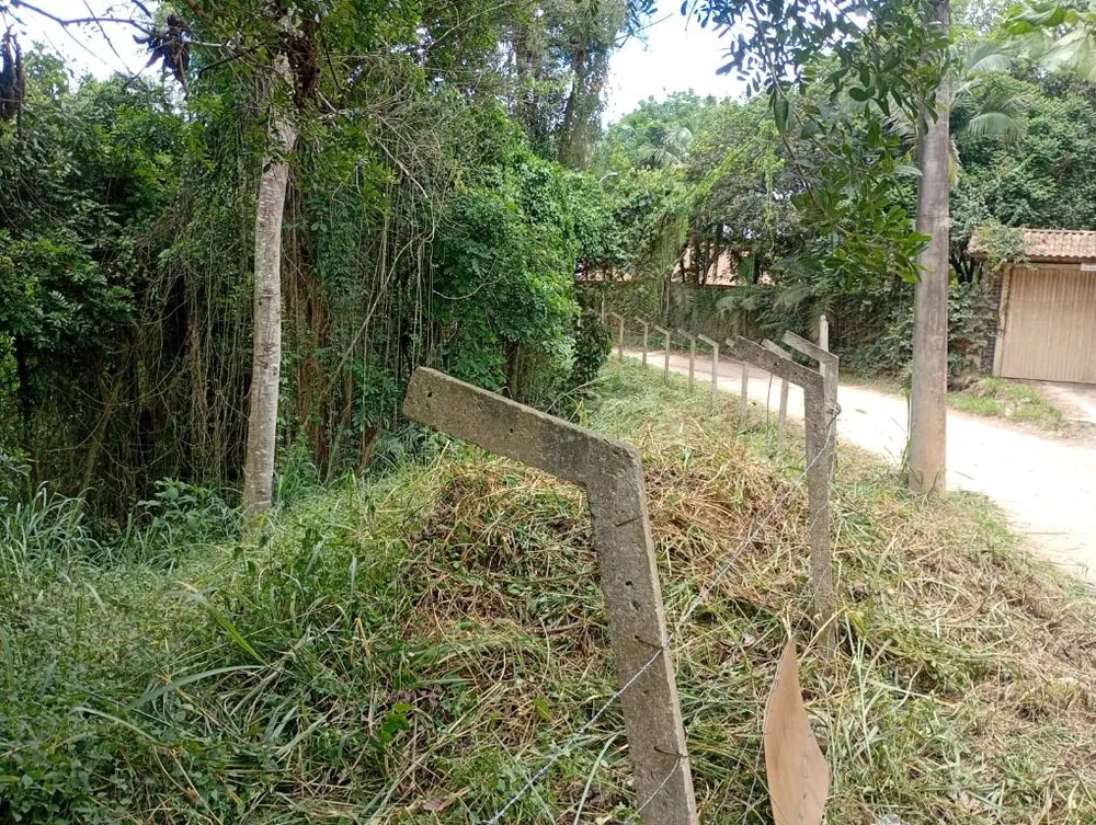 Terreno, 8000 m² - Foto 7