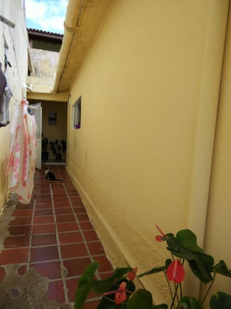 Casa, 3 quartos, 230 m² - Foto 19