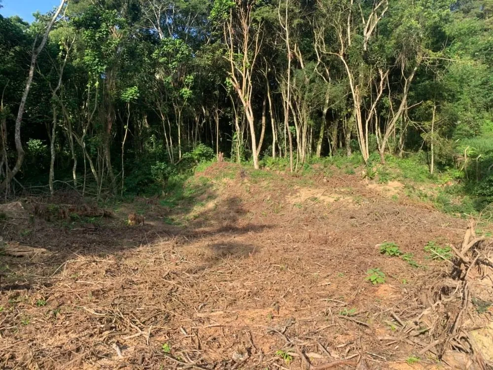Loteamento e Condomínio, 1592 m² - Foto 3